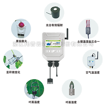 植物生理生态监测系统 植物生理生态监测系统
