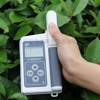 葉綠素含量測定儀TYS-B