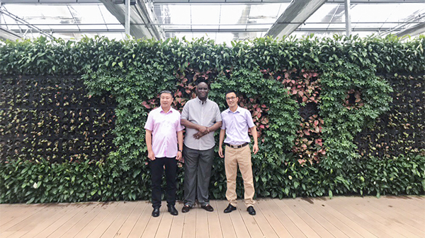 尼日利亚农业银行行长来访成人抖音视频 尼日利亚农业银行行长来访成人抖音视频