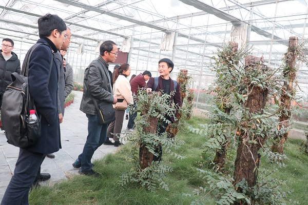 培训班参观成人抖音视频临浦基地 培训班参观成人抖音视频临浦基地