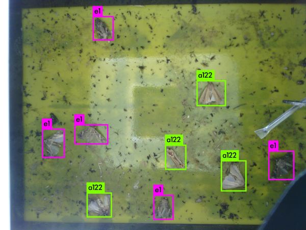 1614936383312070.jpg 4-宽600.jpg