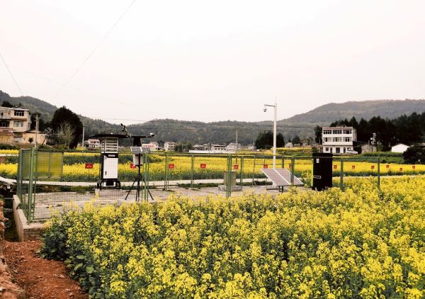 成人抖音视频病虫害监测点 成人抖音视频病虫害监测点