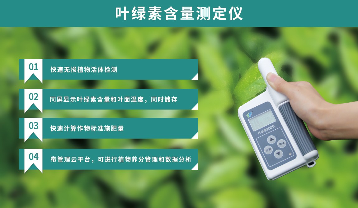 叶绿素测定仪 叶绿素测定仪