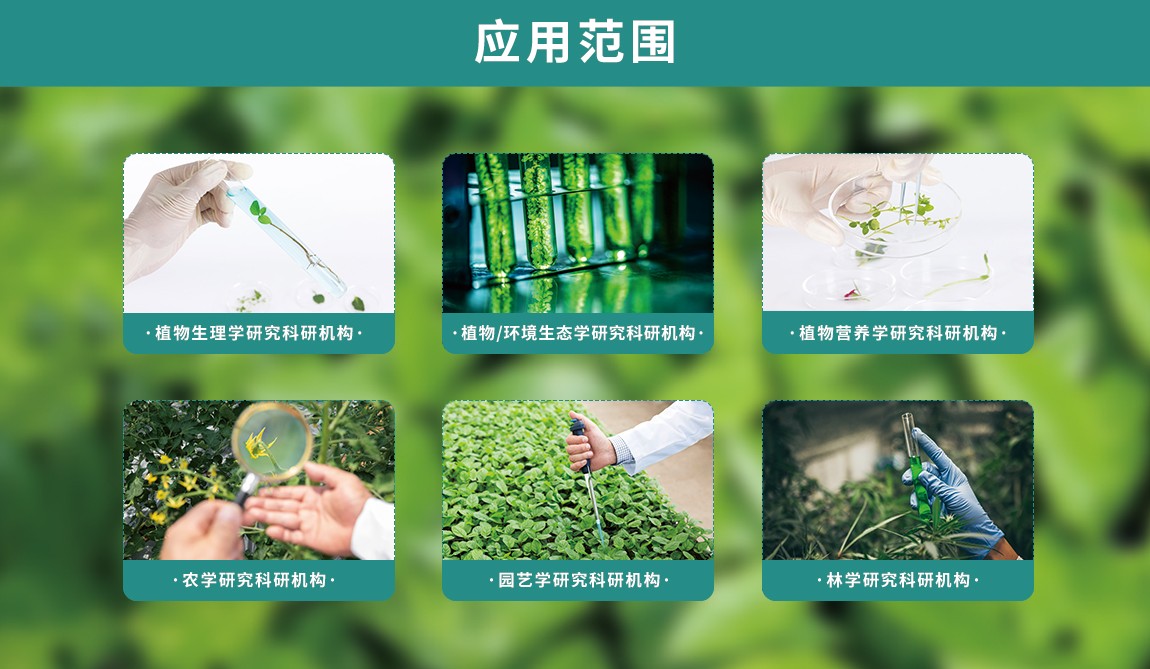叶绿素含量测定仪应用范围 叶绿素含量测定仪应用范围