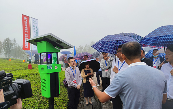 中国农业科学院孙坦副院长观摩茶园杀虫灯绿色防控 中国农业科学院孙坦副院长观摩茶园杀虫灯绿色防控