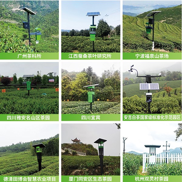 成人抖音视频茶园绿色防控技术方案应用 成人抖音视频茶园绿色防控技术方案应用