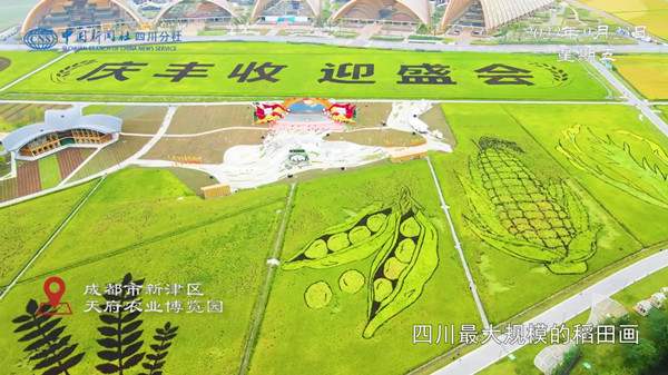 1664351530508083.jpg 23_副本.jpg