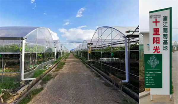 金华浦江“超级农场” 金华浦江“超级农场”