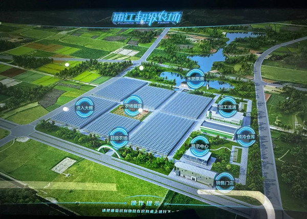 浦江“超级农场” 浦江“超级农场”