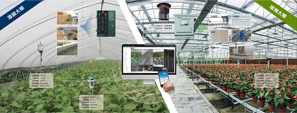 成人抖音视频设施农业创新应用基地 成人抖音视频设施农业创新应用基地