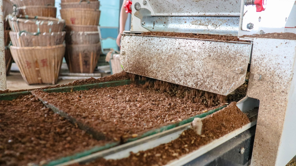 成人抖音视频打造的古林育秧工厂 成人抖音视频打造的古林育秧工厂