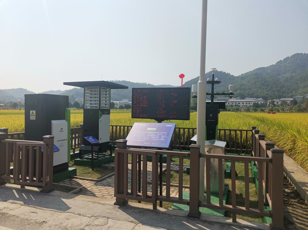 成人抖音视频农作物病虫害监测点 成人抖音视频农作物病虫害监测点