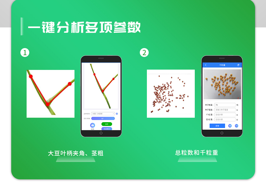 大豆表型检测仪 大豆表型检测仪