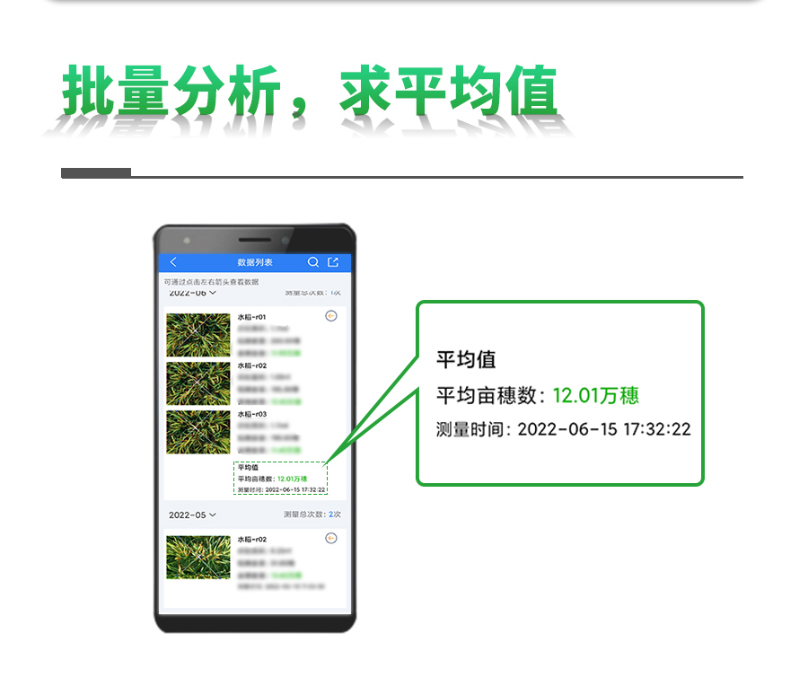 水稻亩穗数测量系统 水稻亩穗数测量系统