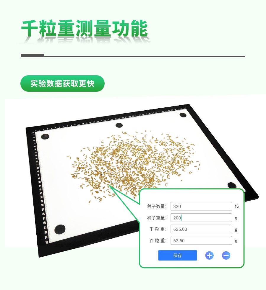 水稻整穗考种测量系统 水稻整穗考种测量系统