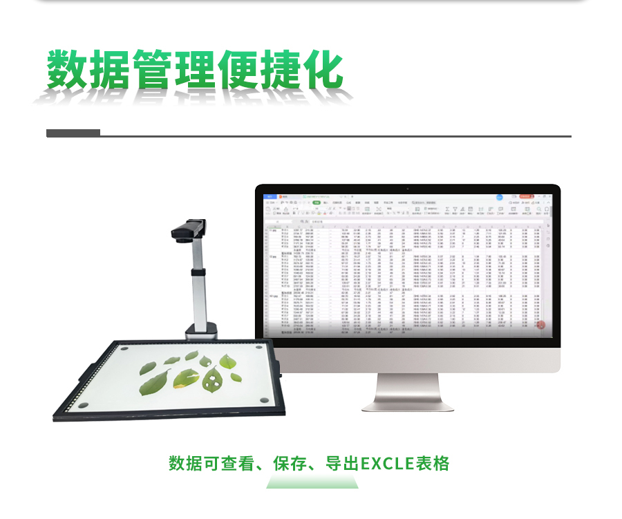 拍照式叶面积测量仪 拍照式叶面积测量仪