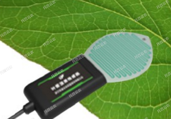 1685951670263055.jpg 8.jpg