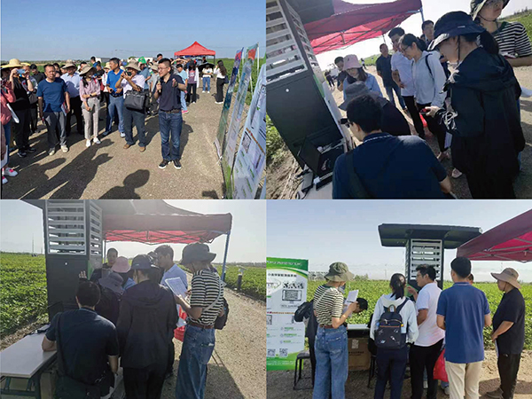 1689326795329442.jpg 2.jpg