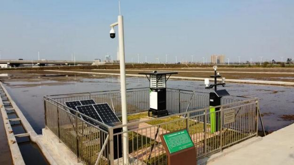 1711091737340087.png 5.png