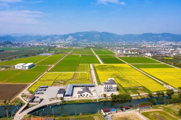 1711616410612368.jpg 4.jpg