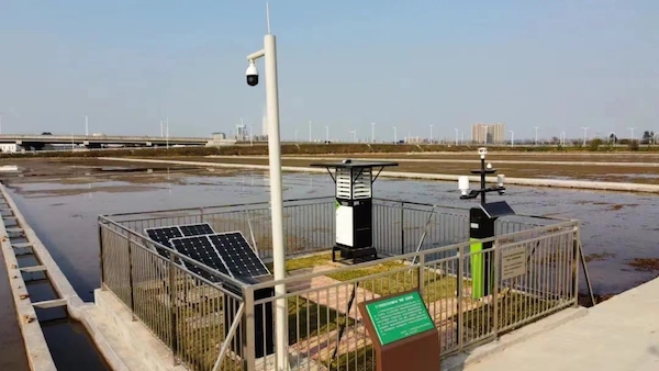 1711777022119811.jpg 江门市木江村高标准农田.jpg