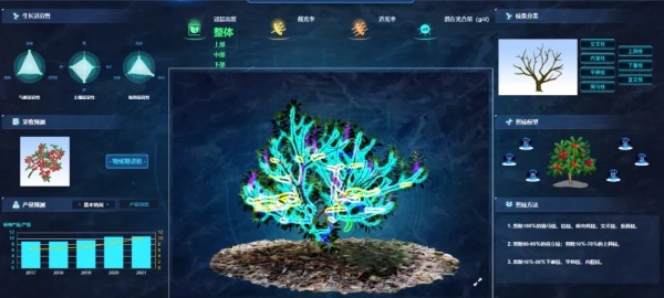 1719646969457589.jpg 5.webp_副本.jpg