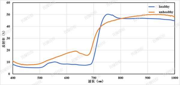 1722995322660540.jpg 高光谱植物数字采集分析系统-2.jpg