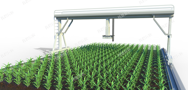 1722996913370814.png 田间轨道式高通量植物表型分析平台_副本.png